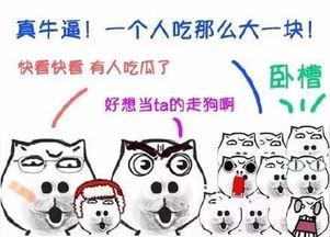 吃瓜男大合集,揭秘娱乐圈幕后故事与趣味瞬间