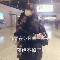 马姐带你吃瓜,马姐带你领略娱乐圈的“瓜田”盛景