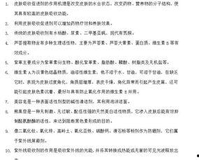 吃瓜节活动总结,欢乐回顾与精彩瞬间