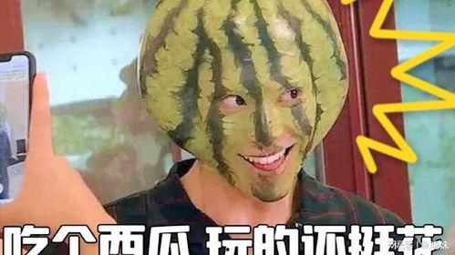 请你们吃瓜,一场别开生面的“请你们吃瓜”活动