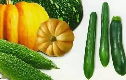 围炉吃瓜的意思,闲谈瓜田趣事