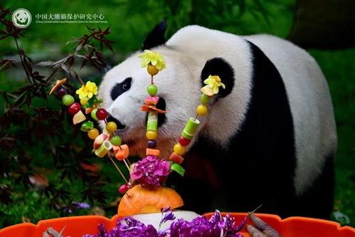 小福宝吃瓜,揭秘娱乐圈那些不为人知的幕后故事