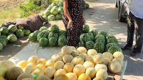 玉京的吃瓜生活,揭秘娱乐圈的吃瓜日常