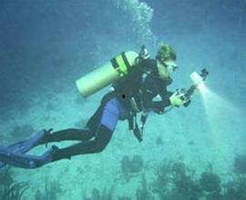 丽水水下吃瓜,一场别开生面的水下“吃瓜”盛宴