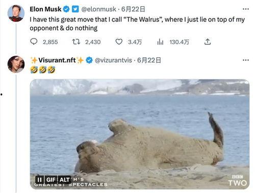 妈妈吃瓜推文,太可爱了！