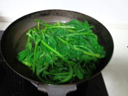 米线瓜的瓜尖可以吃吗,可食用之谜揭秘