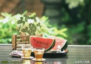 金塘吃瓜,揭秘瓜农致富背后的故事