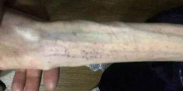 高三吃瓜事件,揭秘校园网络舆论背后的真相