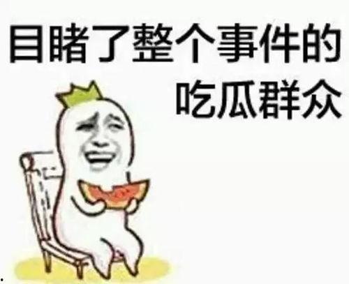 带你吃瓜奇葩马桶,带你领略“带你吃瓜奇葩马桶”的独特魅力