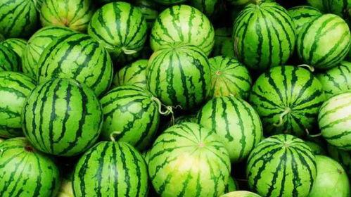 工作是吃瓜,揭秘办公室里的那些八卦风云