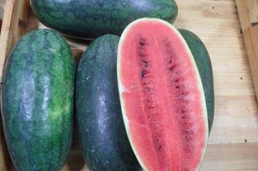 青岛最新吃瓜,揭秘网红美食背后的故事