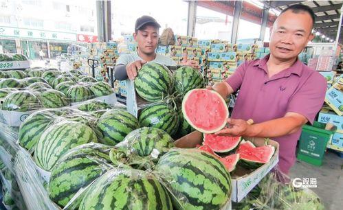 青岛最新吃瓜,揭秘网红美食背后的故事