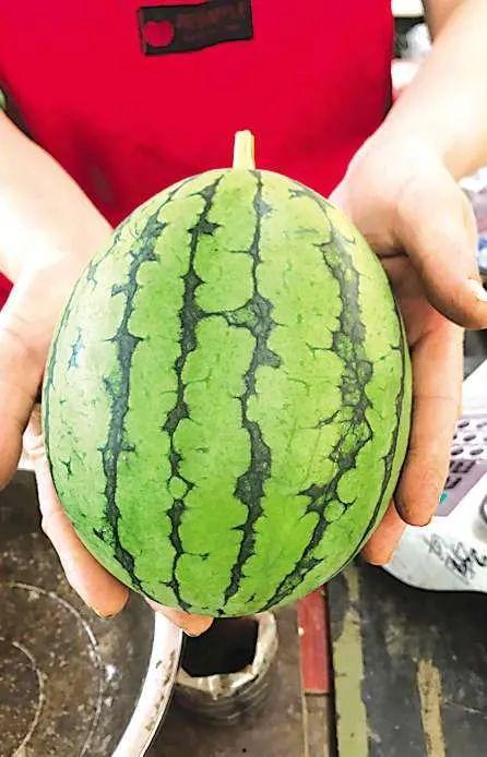 青岛最新吃瓜,揭秘网红美食背后的故事