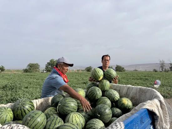 每天吃瓜的时间,揭秘娱乐圈的甜蜜与苦涩