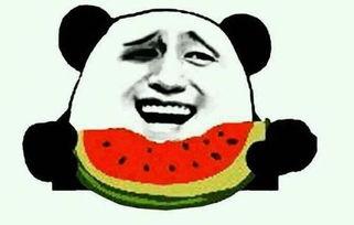 吃瓜阿弟,揭秘娱乐圈幕后故事