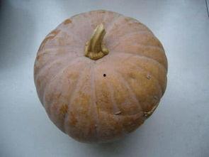 占卜吃瓜整理,揭秘占卜吃瓜背后的神秘世界