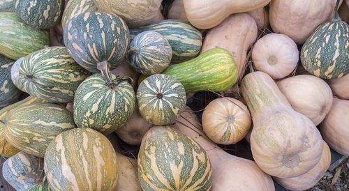 职中女吃瓜,揭秘校园八卦背后的真相