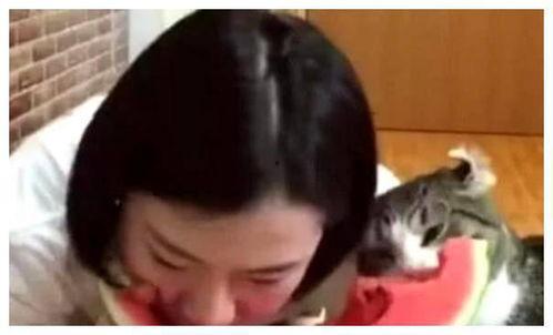 隔壁的吃瓜小刘,隔壁吃瓜小刘的八卦风云录