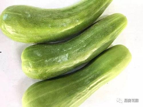 花花小说吃瓜,吃瓜群众眼中的娱乐圈风云