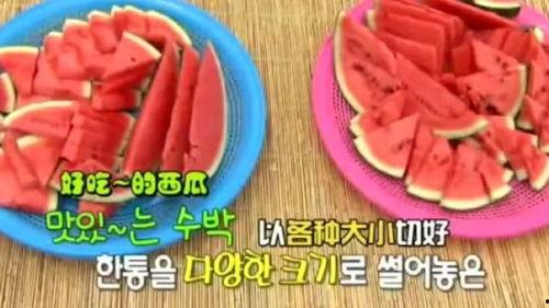 李光洙演我吃瓜,吃瓜界的“瓜王”，带你领略娱乐圈的酸甜苦辣