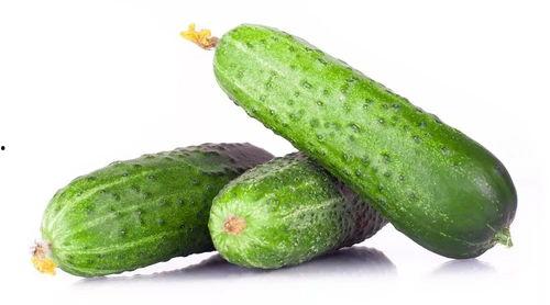 吃瓜爆料黄瓜,揭秘“吃瓜爆料”背后的黄瓜传奇