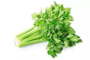 篙瓜几月份吃,尽享时令美味