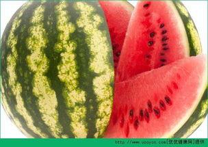 mt每日聪慧吃瓜,mt每日聪慧带你领略娱乐圈新鲜事