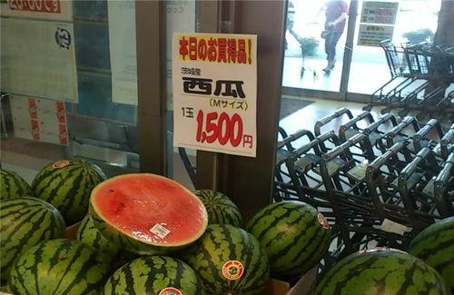 吃瓜人终究成瓜,人生百态的寓言