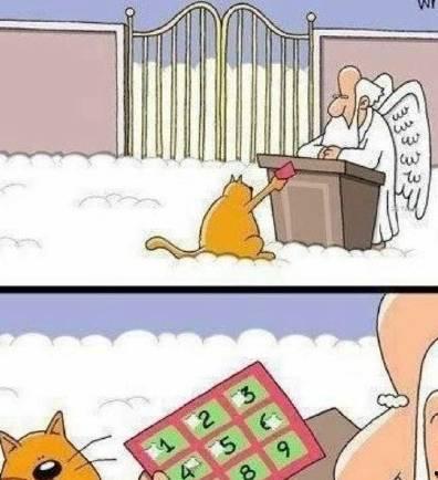 女孩吃瓜搞笑段子,女孩吃瓜搞笑段子大盘点