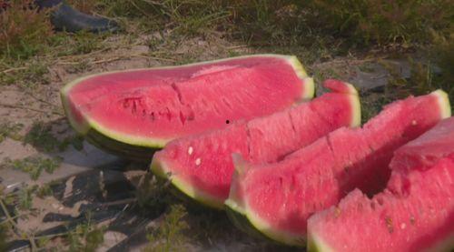 建宁市吃瓜群众,揭秘街头巷尾的热辣话题