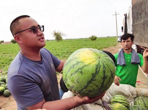 坐下吃瓜的图片