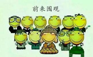 吃瓜闲聊扯英语,吃瓜闲扯，轻松提升英语水平