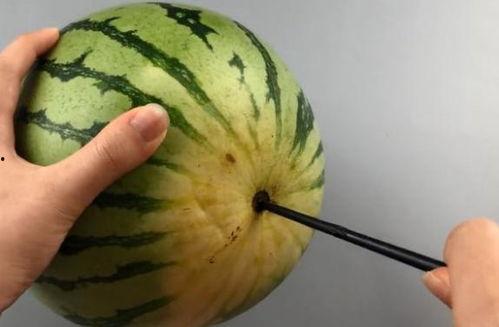 为啥不能直接切瓜吃,为何不能直接切瓜吃的原因