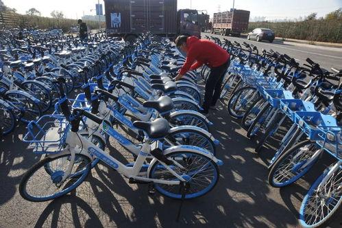 哈啰上车吃瓜活动