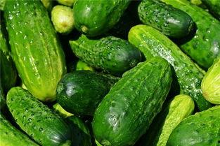 梦见自己吃大树瓜,揭秘梦中大口吃下大树瓜的神秘寓意