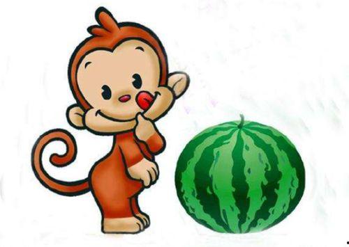 猴子吃瓜故事文字内容,一场智慧与勇气的较量