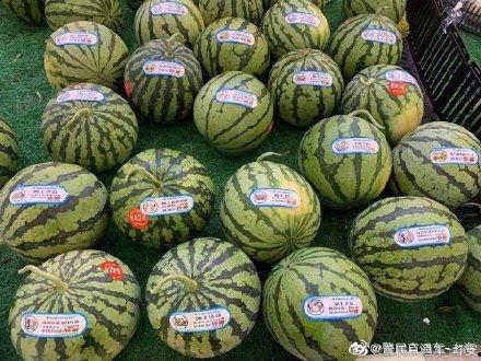 反诈吃瓜,网络诈骗背后的真实故事