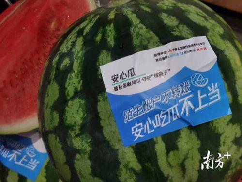 反诈吃瓜,网络诈骗背后的真实故事