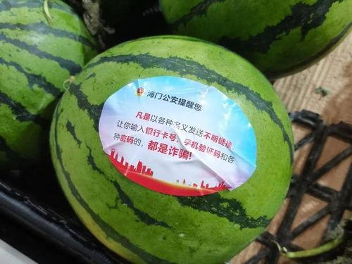 反诈吃瓜,网络诈骗背后的真实故事