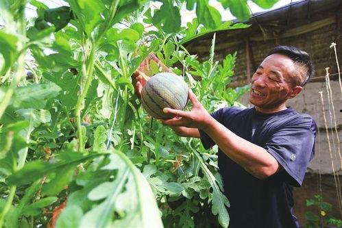 小甜tian吃瓜,揭秘娱乐圈那些不为人知的幕后故事