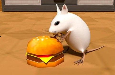 学生模仿老鼠吃瓜,趣味横生的校园生活瞬间