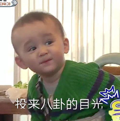 追剧呢吃瓜,跟随剧情脚步，品味生活百味