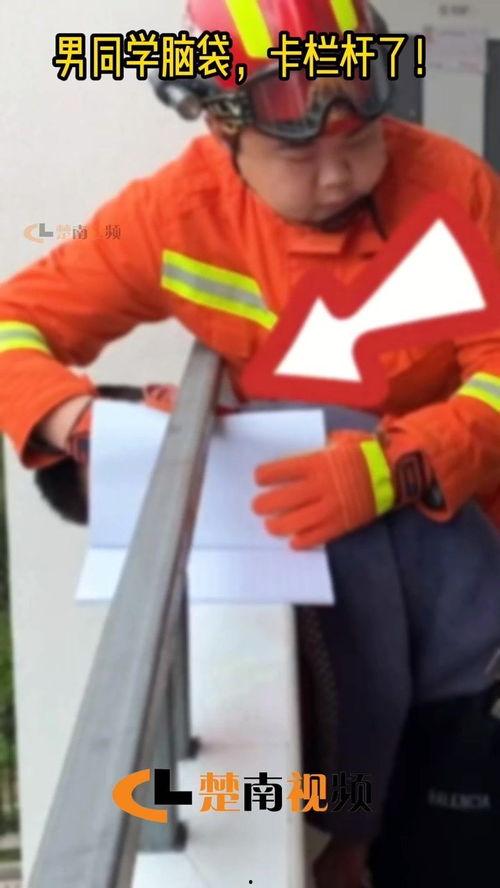 教师护栏吃瓜,揭秘校园里的闲言碎语