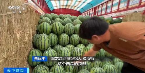 教师护栏吃瓜,揭秘校园里的闲言碎语