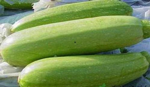 近日金寨吃瓜,揭秘背后真相与网络舆论风暴