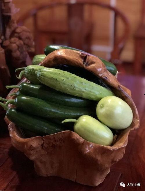 近日金寨吃瓜,揭秘背后真相与网络舆论风暴