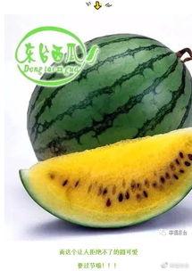 世界同台吃瓜,共享“吃瓜”盛宴