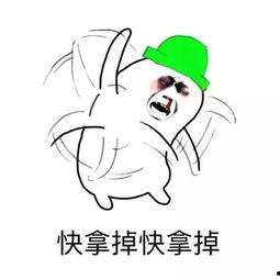 吃瓜却被戴了绿帽,吃瓜群众意外成焦点