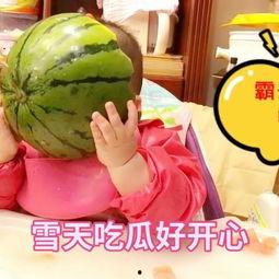 玩具瓜可以吃吗,揭秘其安全性及食用可能性