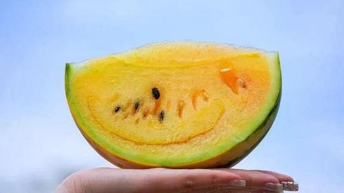 吃瓜只吃瓜呀是什么歌曲,揭秘流行歌曲背后的趣味故事